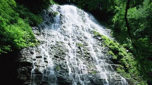 节能独特节能